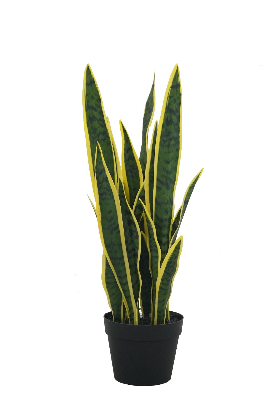 Artificial Plant Sansevieria Yellow 26.3"