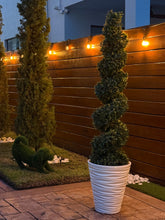 Wave City Medium Planter - White