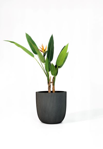 CAPI Groove Planter - Anthracite