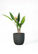 Anthracite CAPI Groove Planter 16" – Indoor & Outdoor