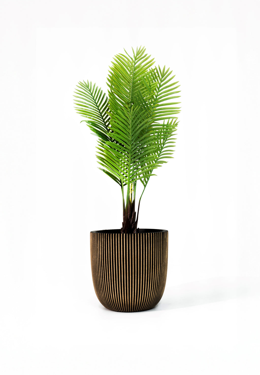 CAPI Groove Planter - Black & Gold