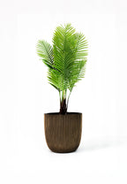 CAPI Groove Planter - Black & Gold