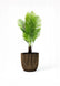 Black & Gold CAPI Groove Planter 16" – Indoor & Outdoor