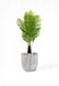 Ivory CAPI Groove Planter 16" – Indoor & Outdoor