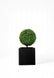 Black CAPI Square Planter 16" – Indoor & Outdoor