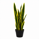 Sansevieria Artificial Plant - Yellow