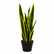 Sansevieria Artificial Plant - Yellow