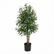 Artificial Olive Tree - Green