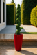 Santorini Medium Planter - Red