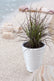 Wave City Medium Planter - White