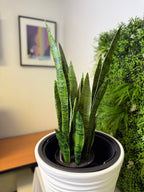Artificial Plant Sansevieria Green Plant 26.3” Realistic