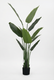 Traveler Palm Artificial Plant - Green