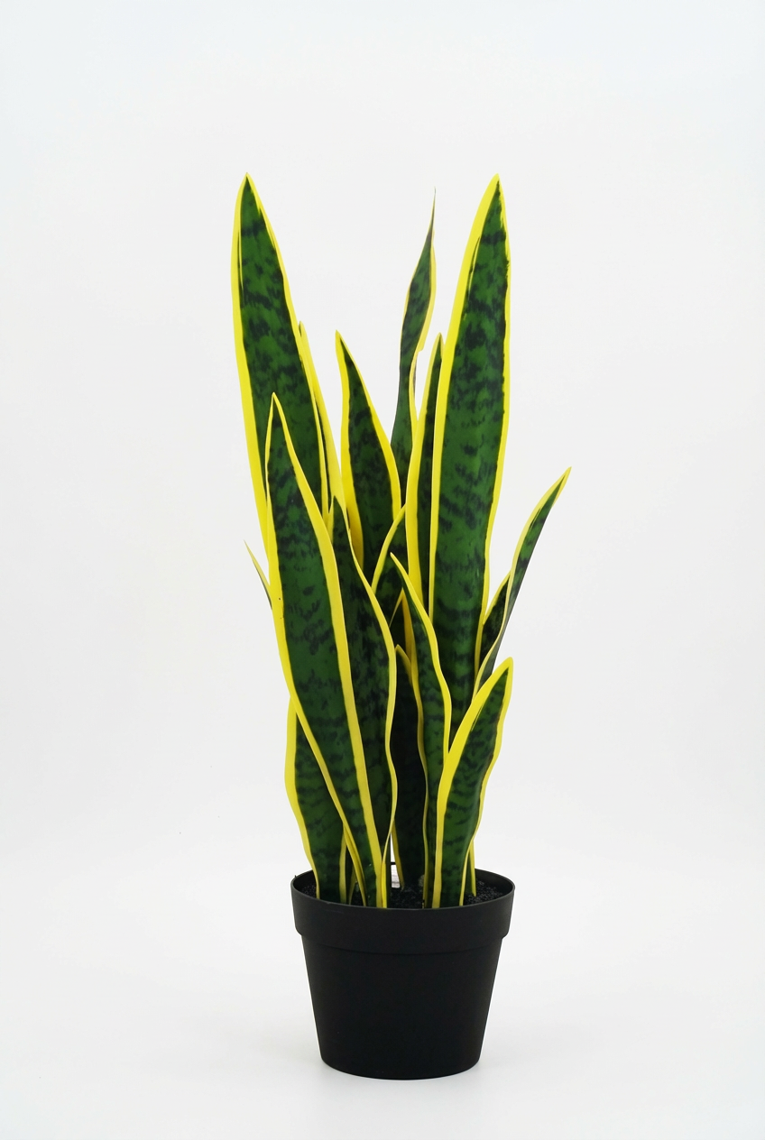 Artificial Plant Sansevieria Yellow 26.3” Realistic
