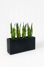 Artificial Plant Sansevieria Yellow 26.3” Realistic