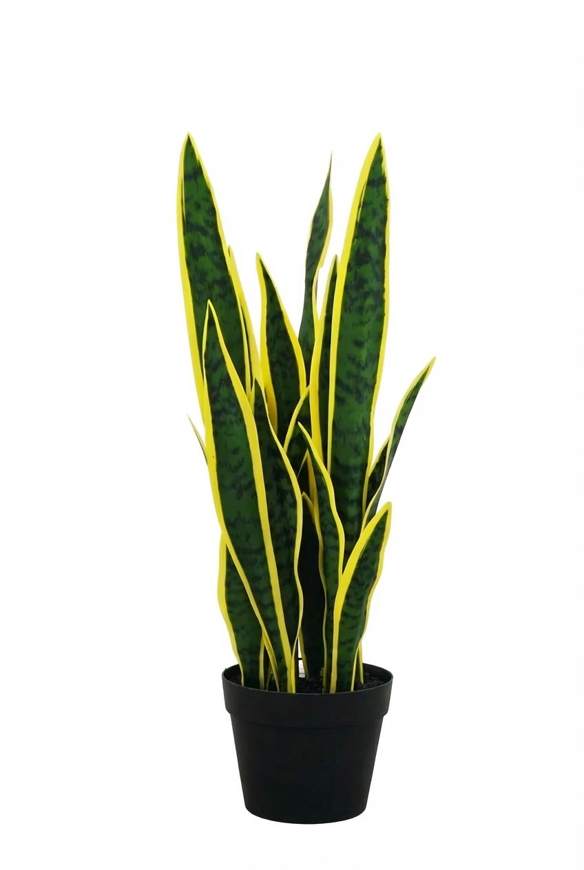 Artificial Plant Sansevieria Yellow 26.3” Realistic