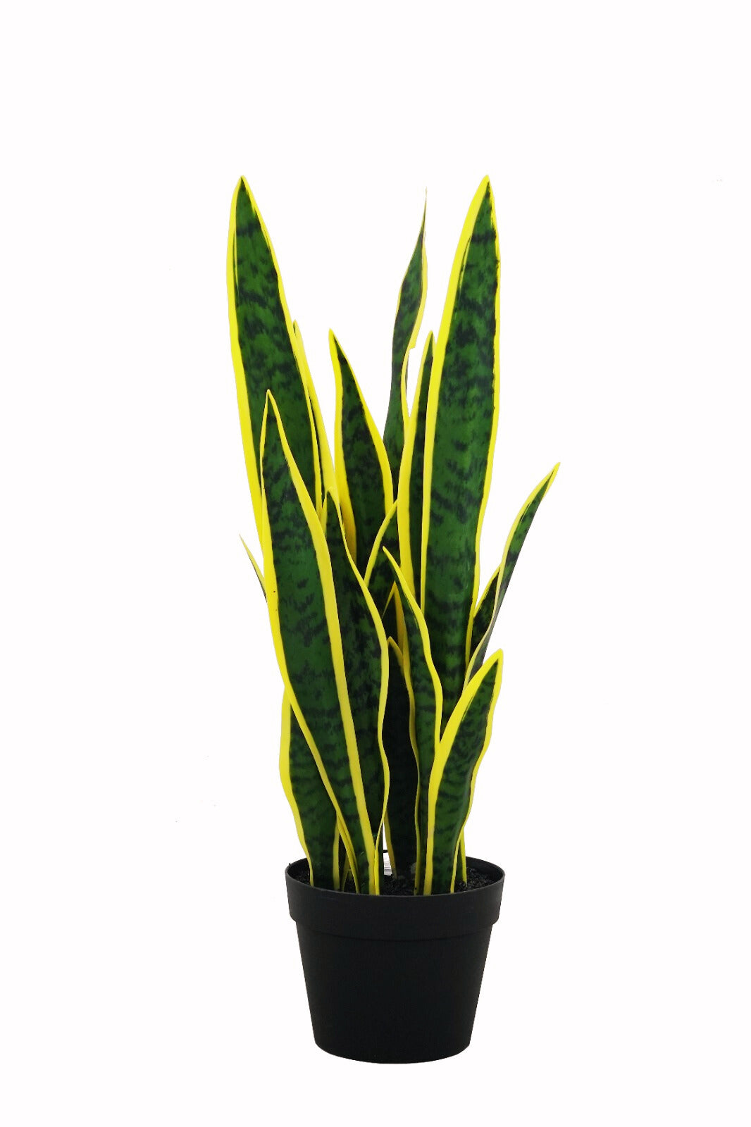 Artificial Snake Plant – Sansevieria Yellow, 26.3” Realistic