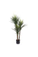 Artificial Sisal Plant - Green