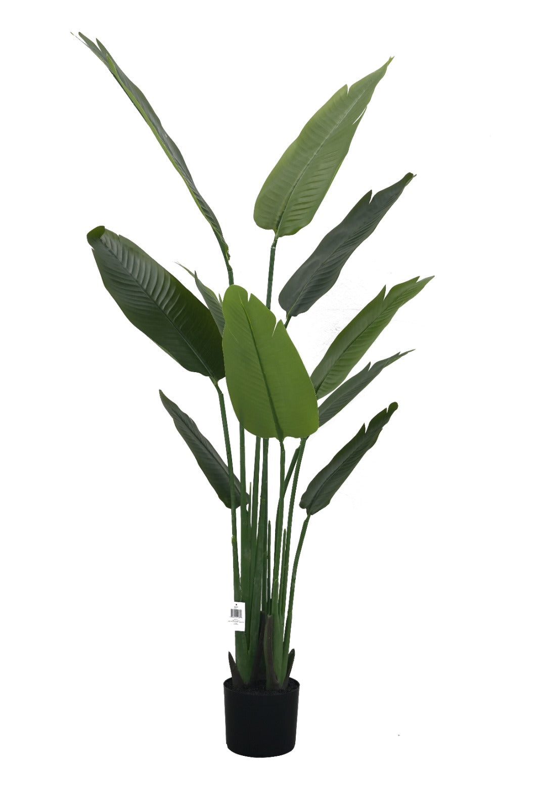 Artificial Plant Travellers Palm 63" Realistic