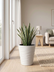 Wave City Medium Planter - White