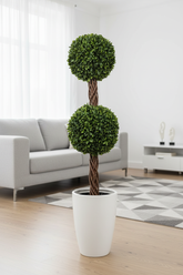 Double Ball Topiary