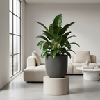 CAPI Groove Planter Anthracite styled in a sophisticated minimalist interior with tropical plant