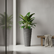 Wave City Gray planter styled in a serene minimalist interior with tropical plant