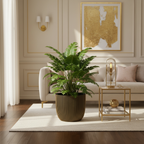 CAPI Groove Planter Black and Gold styled in an opulent modern interior with tropical plant