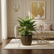 CAPI Groove Planter Black and Gold styled in an opulent modern interior with tropical plant