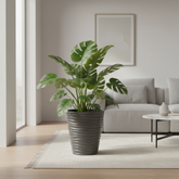 Wave City Medium Planter Gray styled in a minimalist interior with tropical plant