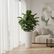 Modern Wavy Round Planter White Tall