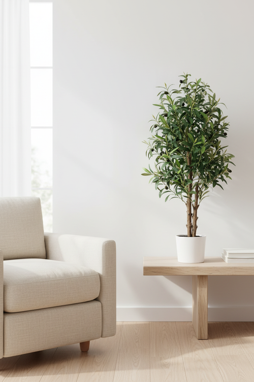 Olive Tree