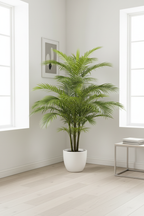 Palm Tree
