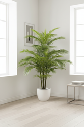 Palm Tree