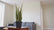 Sansevieria Artificial Plant - Yellow