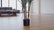 Artificial Sisal Plant - Green