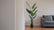 Traveler Palm Artificial Plant - Green