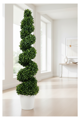 Spiral Topiary Lifestyle