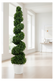 Spiral Topiary Lifestyle