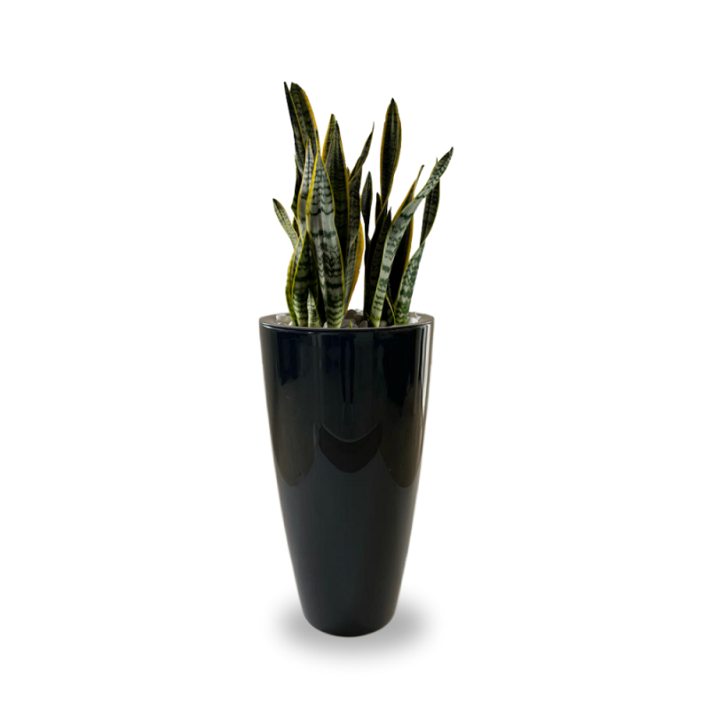 Santorini Anthracite Planter 25.6" Smooth Finish
