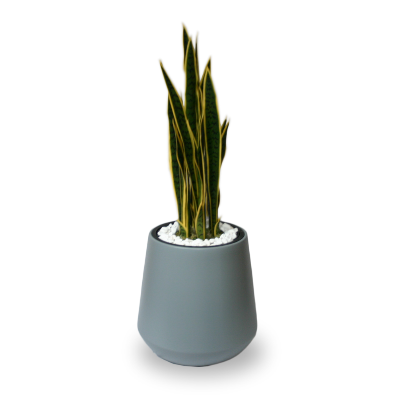 Neo City Gray Tapered Round Planter – 17.5" Smooth Finish
