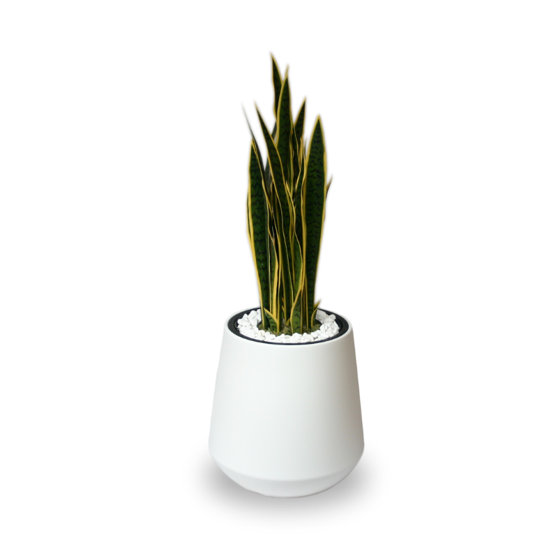 Neo City Planter - White